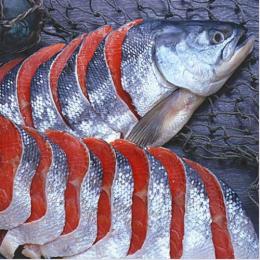 紅鮭姿切り　約2.0kg
